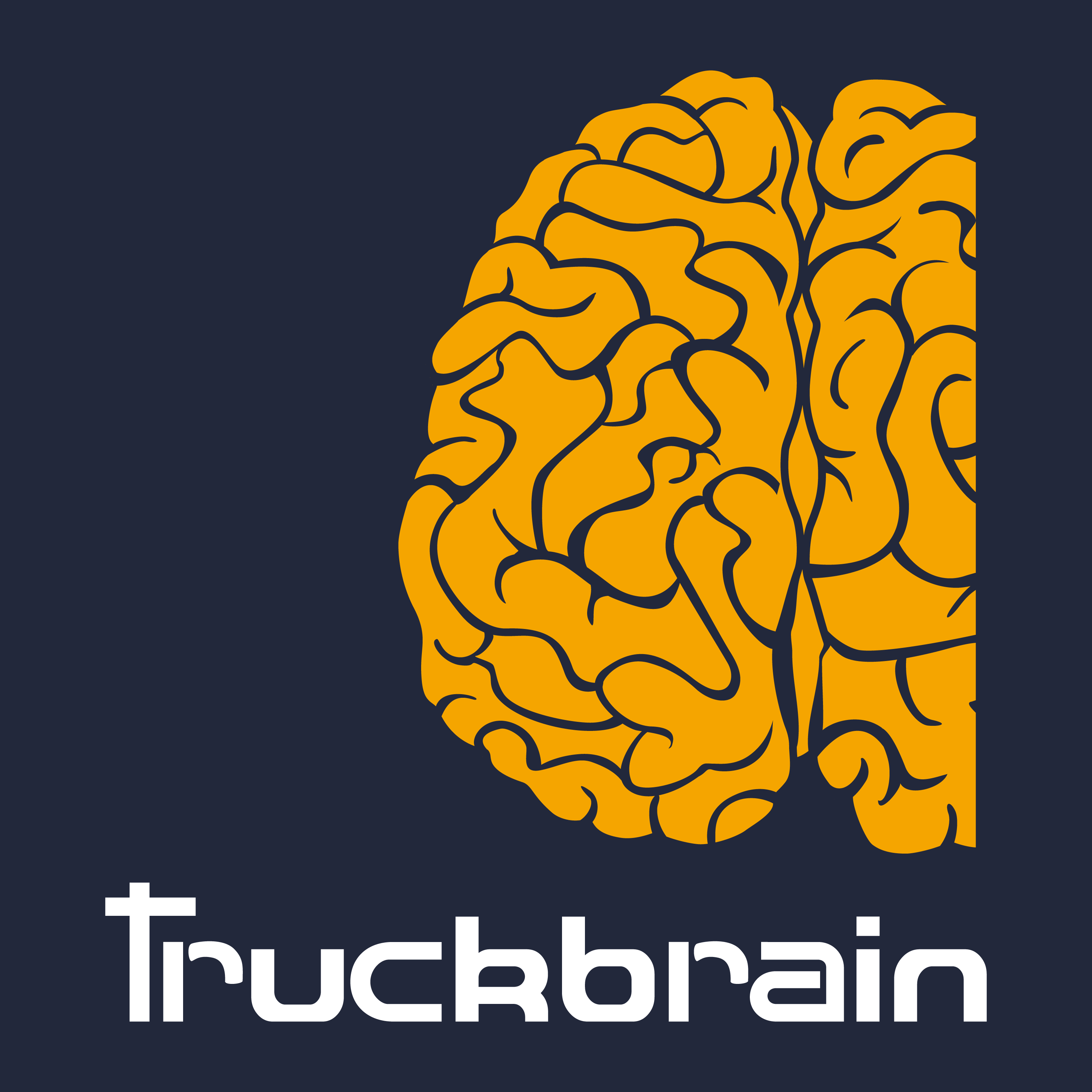 Truck Brain