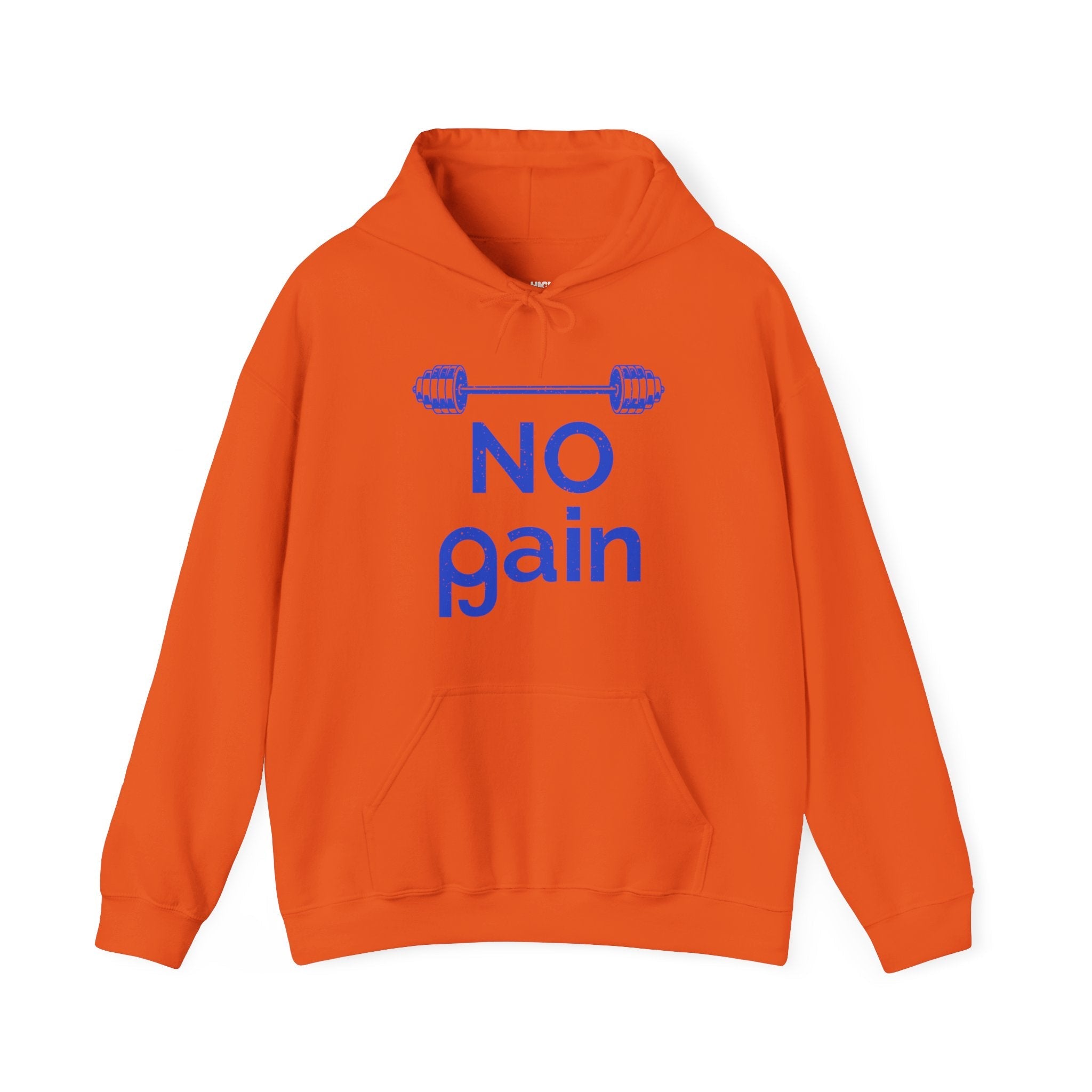 No Pain No Gain Hoodie - High Level Shirts